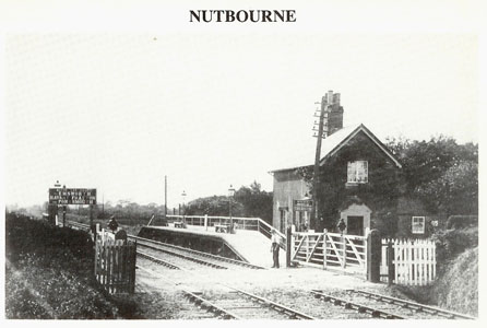 Nutborne Halt 1906